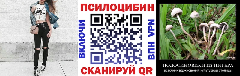 Галлюциногенные грибы Psilocybine cubensis  Купить где  Тихвин 